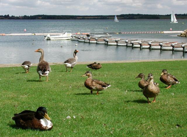 Grafham Water Lodge Εξωτερικό φωτογραφία